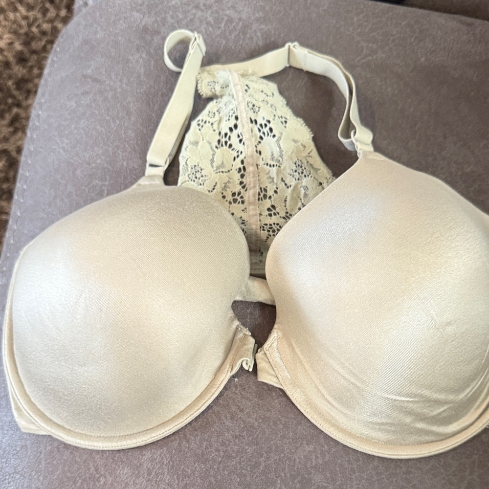 Elegant Sage green Lace Bra